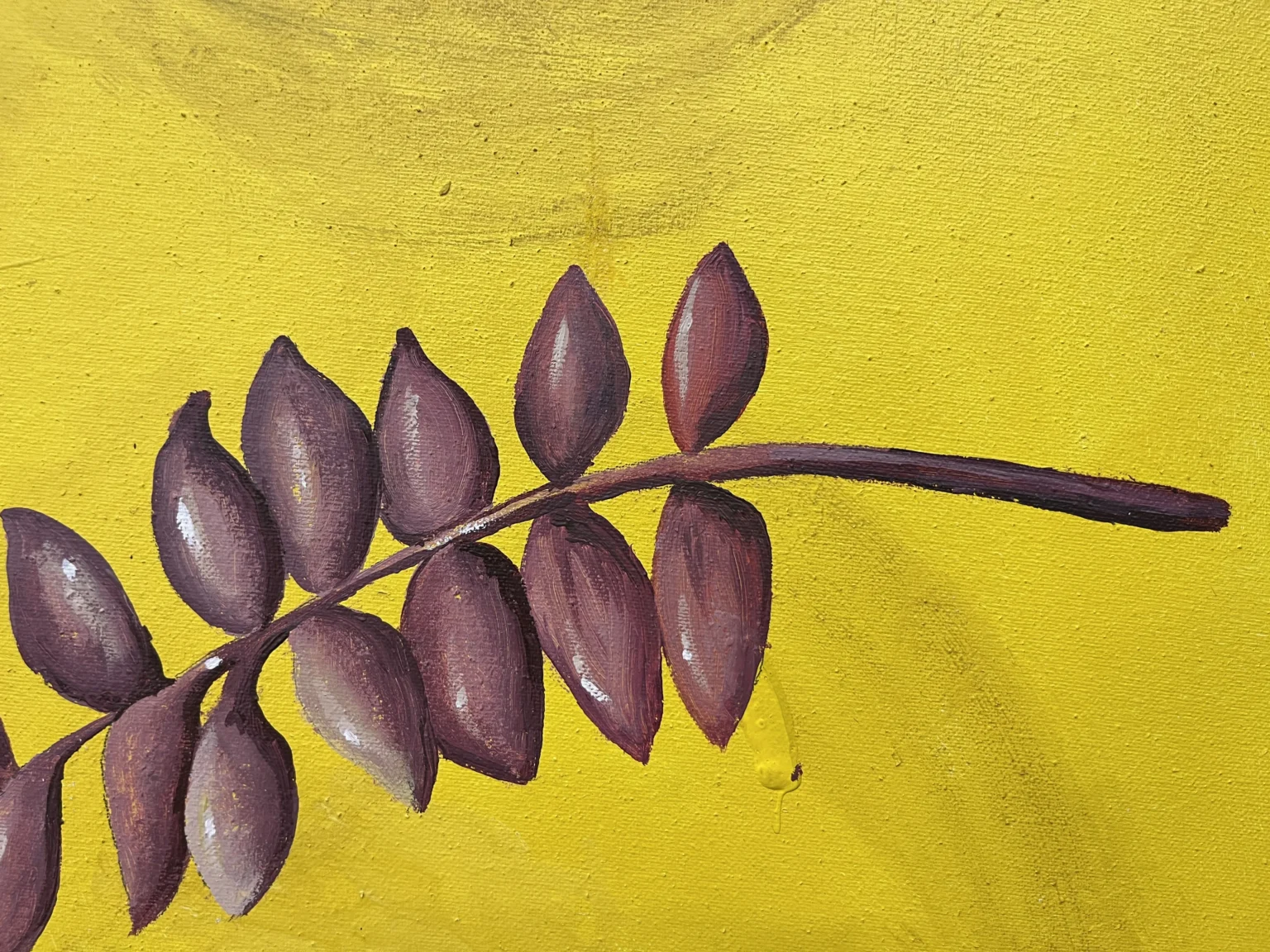 Image00007 | CURCUMA SL